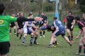 RUGBY CHARTRES 101.JPG